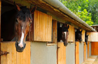 free Roselands stable construction quotes